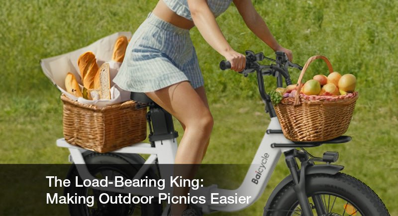 The Load-Bearing King: Making Outdoor Picnics Easier - Baicycle