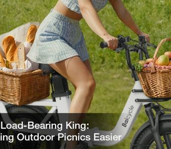 The Load-Bearing King: Making Outdoor Picnics Easier - Baicycle