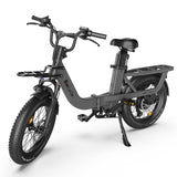 Baicycle Electric Bike, Folding Electric Bike with 62 Miles Range, Fast Charge and Removable Battery, 20 Inches Fat Tire for Beach Cruiser City Commute Mountain, Grey - Baicycle